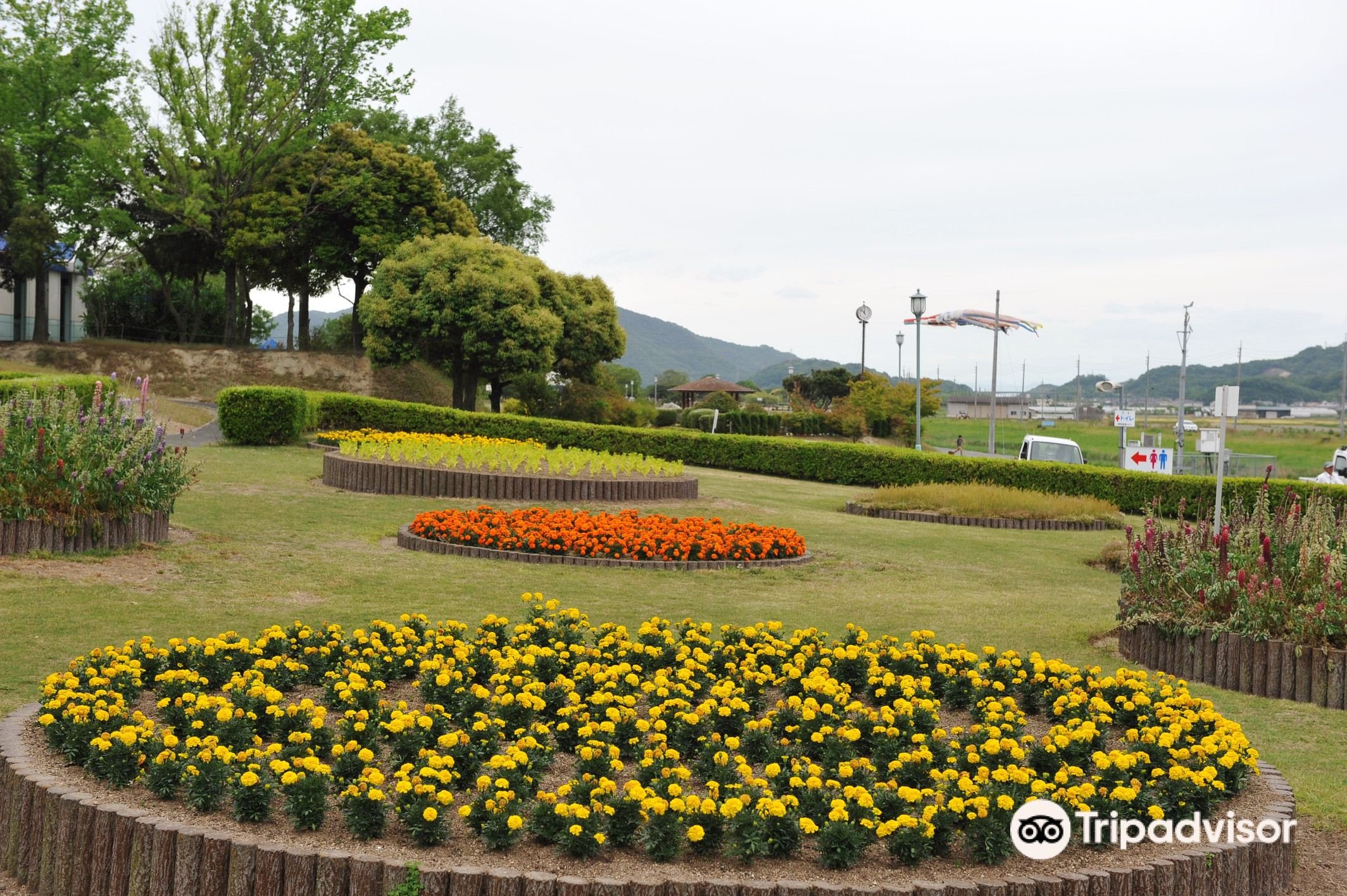 🌳 태양의 광장(카사오카 타이요노 히로바) 이미지 4